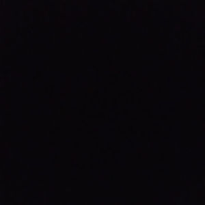 Meet your Posher, Cheyenne